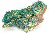 Sparkling Dioptase Crystals On Mimetite - N'tola Mine, Congo #209707-2